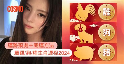 2024 豬年運程|屬雞/狗/豬生肖運程2024｜龍年運勢預測＋麥玲玲推介 